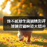 馋不腻益生菌猫粮测评：玻璃胃猫咪能大胆冲吗？
