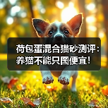 荷包蛋混合猫砂测评：养猫不能只图便宜！（图2）