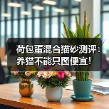 荷包蛋混合猫砂测评：养猫不能只图便宜！（图4）