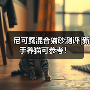 尼可露混合猫砂测评|新手养猫可参考！（图2）