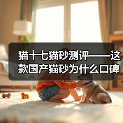 猫十七猫砂测评——这款国产猫砂为什么口碑这么好？