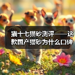 猫十七猫砂测评——这款国产猫砂为什么口碑这么好？（图2）