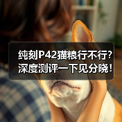 纯刻P42猫粮行不行?深度测评一下见分晓!(图2) 纯刻P42猫粮行不行?深度测评一下见分晓!(图2)