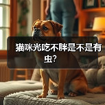 猫咪光吃不胖是不是有虫?(图1) 猫咪光吃不胖是不是有虫?(图1)