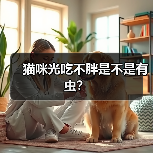 猫咪光吃不胖是不是有虫?(图2) 猫咪光吃不胖是不是有虫?(图2)