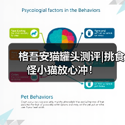 格吾安猫罐头测评|挑食怪小猫放心冲！（图3）
