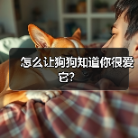 怎么让狗狗知道你很爱它？