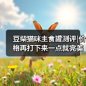 豆柴猫咪主食罐测评|价格再打下来一点就完美了（图2）