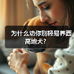 为什么劝你别轻易养西高地犬？（图3）