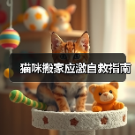 猫咪搬家应激自救指南