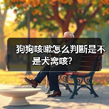 狗狗咳嗽怎么判断是不是犬窝咳？（图2）
