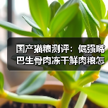 国产猫粮测评：倔强嘴巴生骨肉冻干鲜肉粮怎么样？（图2）