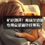 矿砂测评！希瑞尔幼猫专用启蒙猫砂好用吗？