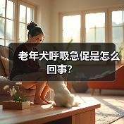 老年犬呼吸急促是怎么回事？（图4）