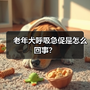 老年犬呼吸急促是怎么回事？（图3）