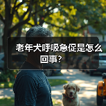 老年犬呼吸急促是怎么回事？