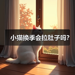 小猫换季会拉肚子吗？