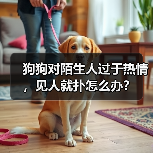 狗狗对陌生人过于热情,见人就扑怎么办? 狗狗对陌生人过于热情,见人就扑怎么办?