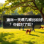 猫咪一天喂几顿比较好?你做对了吗? 猫咪一天喂几顿比较好?你做对了吗?