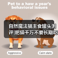自然魔法猫主食罐头测评|肥猫千万不要长期吃！（图4）