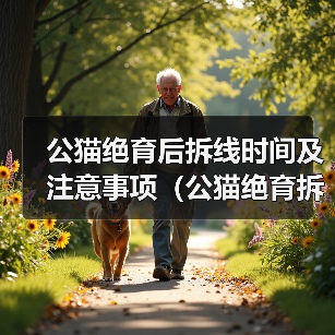公猫绝育后拆线时间及注意事项（公猫绝育拆线时间及预防感染关键要素）