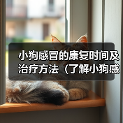 小狗感冒的康复时间及治疗方法（了解小狗感冒的症状与治愈时间，保护你的毛小孩）