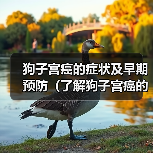 狗子宫癌的症状及早期预防(了解狗子宫癌的常见症状,提早预防保护您的毛孩)(图4) 狗子宫癌的症状及早期预防(了解狗子宫癌的常见症状,提早预防保护您的毛孩)(图4)