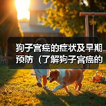 狗子宫癌的症状及早期预防(了解狗子宫癌的常见症状,提早预防保护您的毛孩)(图3) 狗子宫癌的症状及早期预防(了解狗子宫癌的常见症状,提早预防保护您的毛孩)(图3)