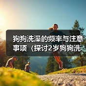狗狗洗澡的频率与注意事项(探讨2岁狗狗洗澡的最佳频率和正确方法)(图4) 狗狗洗澡的频率与注意事项(探讨2岁狗狗洗澡的最佳频率和正确方法)(图4)