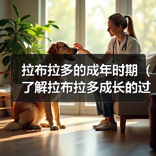 拉布拉多的成年时期(了解拉布拉多成长的过程,让它健康快乐地成年)(图4) 拉布拉多的成年时期(了解拉布拉多成长的过程,让它健康快乐地成年)(图4)