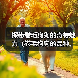 探秘卷毛狗狗的奇特魅力(卷毛狗狗的品种、特点及饲养技巧)(图3) 探秘卷毛狗狗的奇特魅力(卷毛狗狗的品种、特点及饲养技巧)(图3)