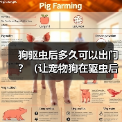 狗驱虫后多久可以出门？（让宠物狗在驱虫后安全出门的最佳时间点）