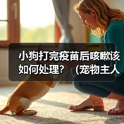 小狗打完疫苗后咳嗽该如何处理?(宠物主人必看,小狗咳嗽的治疗和预防措施)(图4) 小狗打完疫苗后咳嗽该如何处理?(宠物主人必看,小狗咳嗽的治疗和预防措施)(图4)
