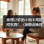 如何让你的小狗不再乱咬东西？（宠物训练技巧，有效预防狗狗乱咬行为）