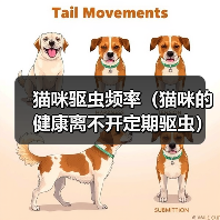 猫咪驱虫频率（猫咪的健康离不开定期驱虫）（图4）