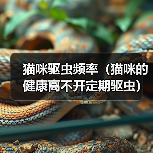 猫咪驱虫频率（猫咪的健康离不开定期驱虫）（图1）