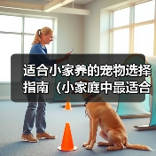 适合小家养的宠物选择指南(小家庭中最适合的宠物选择及饲养技巧)(图3) 适合小家养的宠物选择指南(小家庭中最适合的宠物选择及饲养技巧)(图3)
