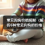 常见狗狗价格揭秘(解析6种常见狗狗的价格及入手要点)(图2) 常见狗狗价格揭秘(解析6种常见狗狗的价格及入手要点)(图2)