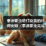 泰迪驱虫后打疫苗的时间安排(泰迪驱虫完成后接种疫苗的最佳时间选择)(图3) 泰迪驱虫后打疫苗的时间安排(泰迪驱虫完成后接种疫苗的最佳时间选择)(图3)