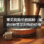 常见狗狗价格揭秘（解析6种常见狗狗的价格及入手要点）