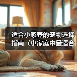 适合小家养的宠物选择指南(小家庭中最适合的宠物选择及饲养技巧)(图2) 适合小家养的宠物选择指南(小家庭中最适合的宠物选择及饲养技巧)(图2)