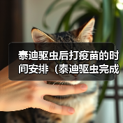 泰迪驱虫后打疫苗的时间安排(泰迪驱虫完成后接种疫苗的最佳时间选择)(图2) 泰迪驱虫后打疫苗的时间安排(泰迪驱虫完成后接种疫苗的最佳时间选择)(图2)