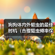 狗狗体内外驱虫的最佳时机(合理驱虫频率保护宠物健康)(图4) 狗狗体内外驱虫的最佳时机(合理驱虫频率保护宠物健康)(图4)