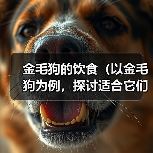 金毛狗的饮食(以金毛狗为例,探讨适合它们的膳食搭配,以青菜为主的好处)(图4) 金毛狗的饮食(以金毛狗为例,探讨适合它们的膳食搭配,以青菜为主的好处)(图4)