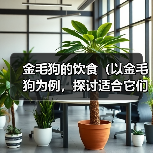金毛狗的饮食（以金毛狗为例，探讨适合它们的膳食搭配，以青菜为主的好处）