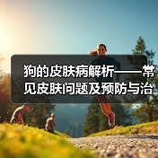狗的皮肤病解析——常见皮肤问题及预防与治疗方法(揭秘狗狗皮肤病的形成原因和有效应对措施)(图3) 狗的皮肤病解析——常见皮肤问题及预防与治疗方法(揭秘狗狗皮肤病的形成原因和有效应对措施)(图3)