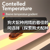 狗犬配种间隔的最佳时间选择(探索狗犬配种间隔的最佳策略,以确保繁育的成功和健康)(图4) 狗犬配种间隔的最佳时间选择(探索狗犬配种间隔的最佳策略,以确保繁育的成功和健康)(图4)