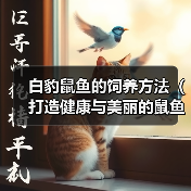 白豹鼠鱼的饲养方法（打造健康与美丽的鼠鱼家园）