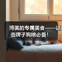 博美的专属美食——这些牌子狗粮必备!(图2) 博美的专属美食——这些牌子狗粮必备!(图2)