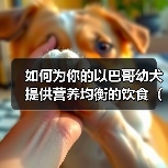 如何为你的以巴哥幼犬提供营养均衡的饮食（从主粮到零食，全面解析以巴哥幼犬的饮食需求）
